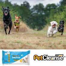 (1 Pack) Pet Dog Wipes for Cleaning & Grooming: 40 Pack