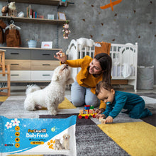 (1 Pack) Pet Dog Wipes for Cleaning & Grooming: 40 Pack