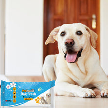 (1 Pack) Pet Dog Wipes for Cleaning & Grooming: 40 Pack
