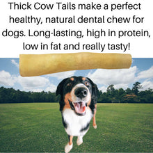10 Thick Cow Tails for Dogs (15cm length). 100% Natural Beef Dog Treat Chew and Long-Lasting Dental Stick