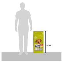 BETA Adult Chicken Pet Supplies