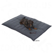 Freedom Dog Cushion – Grey Pet Supplies