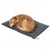 Freedom Dog Cushion – Grey Pet Supplies