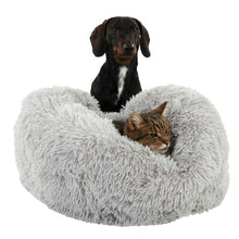 Mochi Cat Bed – Light Grey Pet Supplies