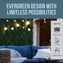 CREATIVE SPACE Grass Wall - Set of 12, 20