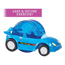 Kaytee Critter Cruiser, Interactive Exercise Toy, Ball, Safe, Secure, for Hamsters, Gerbils (Colours May Vary)