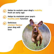 '- MOBI - Hip & Joint Supplement for Dogs | Premium Mobility Supplement with Powerful and Natural Glucosamine, Chondroitin, Green Lipped Mussel, MSM,