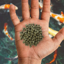 Nishikoi Staple Complete Food for Koi and Pond Fish - Medium Pellets - 750g