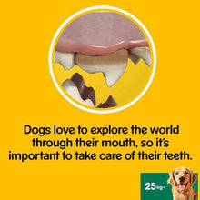 Pedigree Dentastix Dental Care Chews Large Dog Treats 112 Sticks