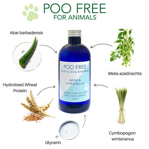 '- Shampoo for Dogs - 99% Natural - Aloe Vera, Citronella, Neem. Sulfate/Parabens Free. Cleans, Soothes, Relieves Itchy Skin. pH Balanced, Concentrated