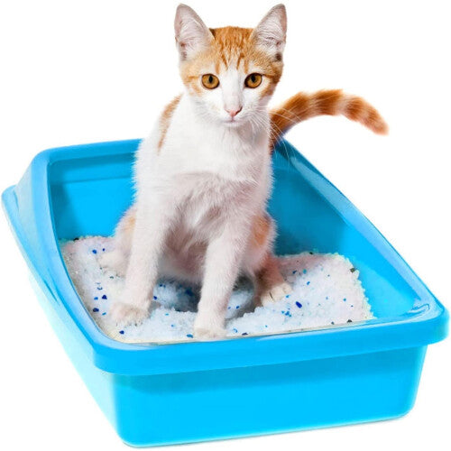 '- Silica Cat Litter Diamond Gel kitten Litter 3.8L Absorbent, Comfortable Biodegradable