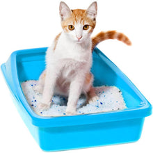 '- Silica Cat Litter Diamond Gel kitten Litter 3.8L Absorbent, Comfortable Biodegradable