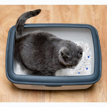 '- Silica Cat Litter Diamond Gel kitten Litter 3.8L Absorbent, Comfortable Biodegradable