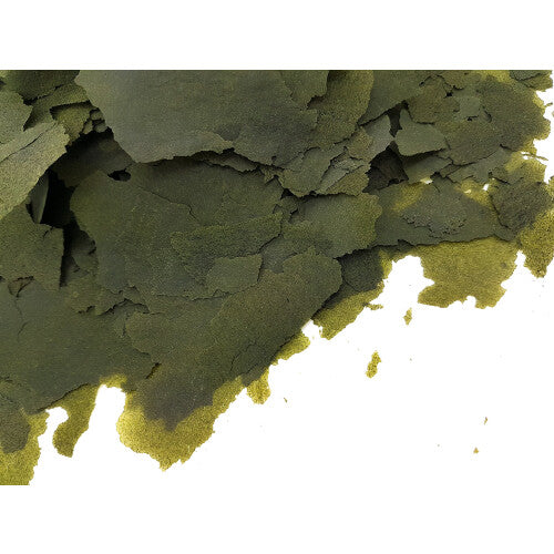 '- Spirulina Forte Flakes - For all Tropical and Marine Fish - 30% of Spirulina Platensis Algae - Mbuna Cichlid - Flake Food with Prebiotic - Colour &