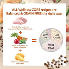 Wellness CORE Adult Original, Dry Cat Food, Grain Free Cat Food Dry, High Meat Content, Turkey & Chicken, 4 kg