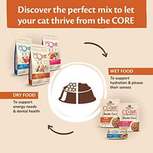 Wellness CORE Adult Original, Dry Cat Food, Grain Free Cat Food Dry, High Meat Content, Turkey & Chicken, 4 kg