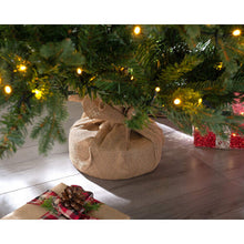 WeRChristmas Norway Spruce Potted Christmas Tree with 190 Chasing Warm LED Lights, Multi-Colour, 5 feet/1.5m